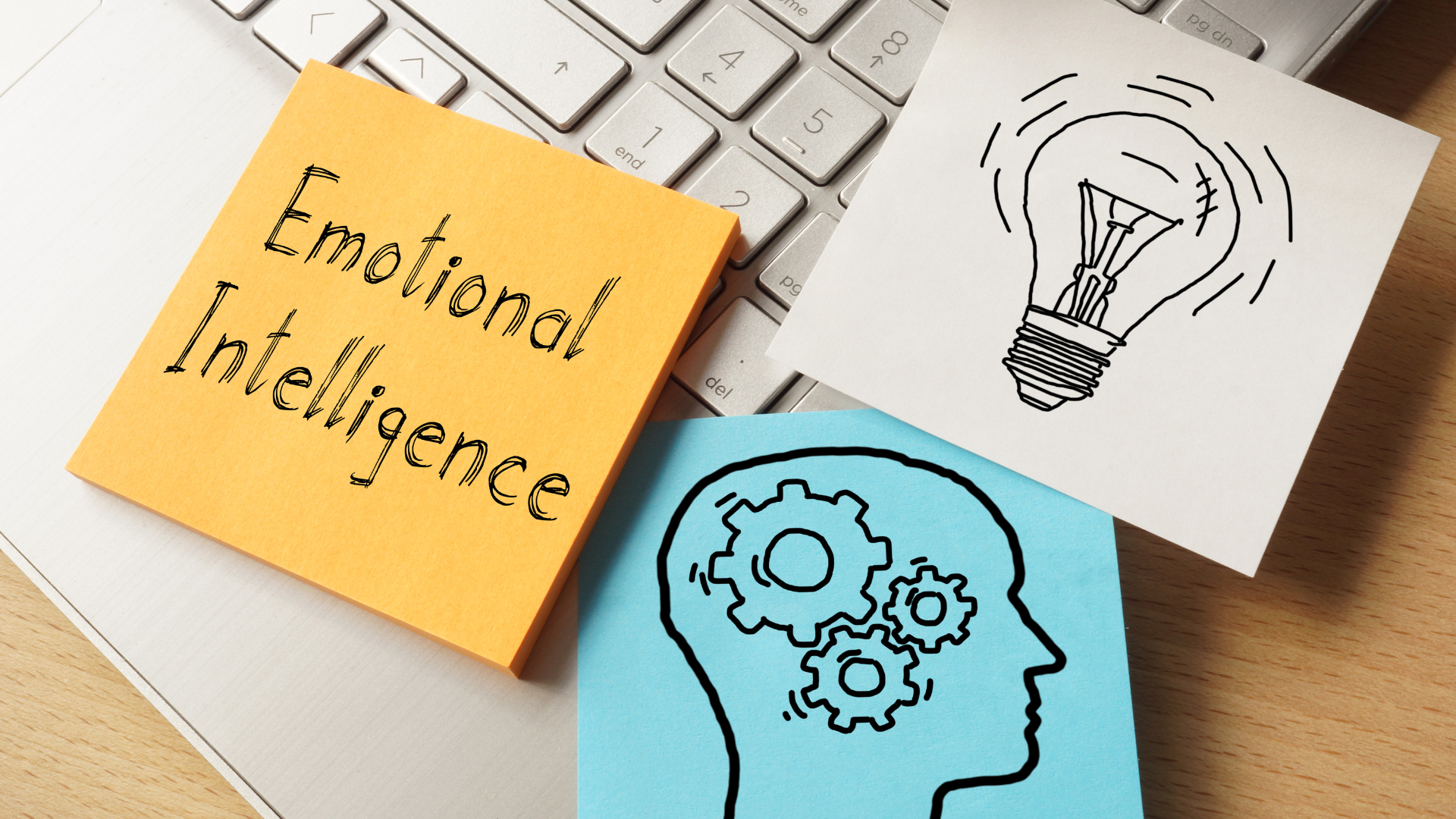 The Importance of Emotional Intelligence in Education