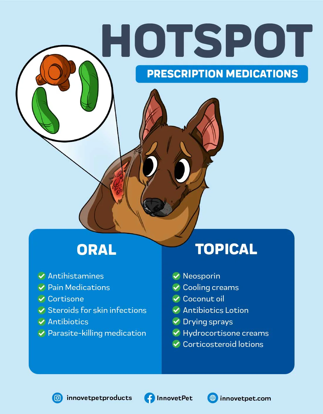 Hot Spots on Dogs: Signs, Causes, Treatment, and Prevention
